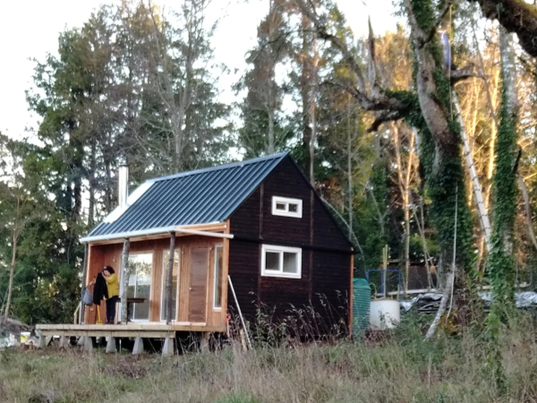 Recreación de la casa piloto de madera oscura entre árboles del sur de Chile