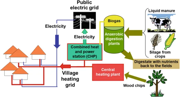 Esquema del pueblo bioenergético alemán: purines y cultivos alimentan plantas de biogás, una central de cogeneración entrega electricidad a la red y calor a una red de calefacción del pueblo